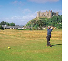 Royal St Davids Golf Club